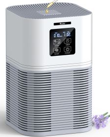 Air Purifier - FBA Warehouse Shipping, -It Is Forbidden To Sell On Amazon, Temu Platforms (Option: Air purifier)